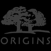 Origins